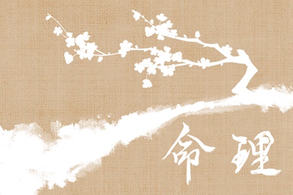 农历阴历查询年,农历年日历表,农历2026年老黄历